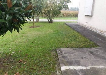 img 20231214 wa0193 - Villa via TIZIANO VECCHIO, Novi di Modena - foto 2