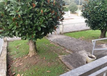 img 20231214 wa0191 - Villa via TIZIANO VECCHIO, Novi di Modena - foto 3