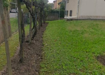 img 20231214 wa0200 - Villa via TIZIANO VECCHIO, Novi di Modena - foto 8