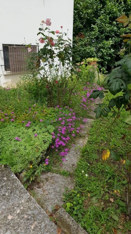 20230613 130848 - Villa via Delle Valli, Mirandola - foto 3