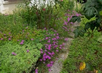 20230613 130848 - Villa via Delle Valli, Mirandola - foto 3