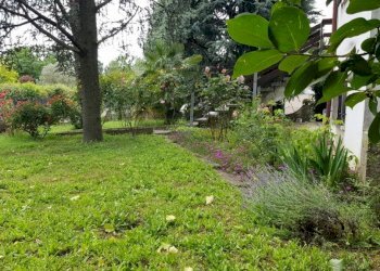 20230613 130804 - Villa via Delle Valli, Mirandola - foto 33