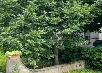 20230613 130816 - Villa via Delle Valli, Mirandola - foto 34