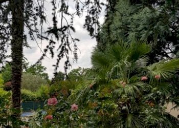 20230613 130827 - Villa via Delle Valli, Mirandola - foto 35