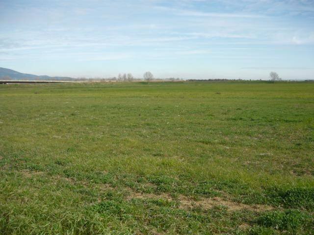 Building land via Chiesa di San Marino, Carpi - photo 1