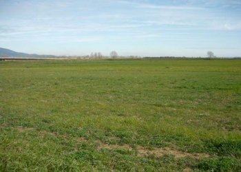 Terreno edificabile via Chiesa di San Marino, Carpi - foto 1
