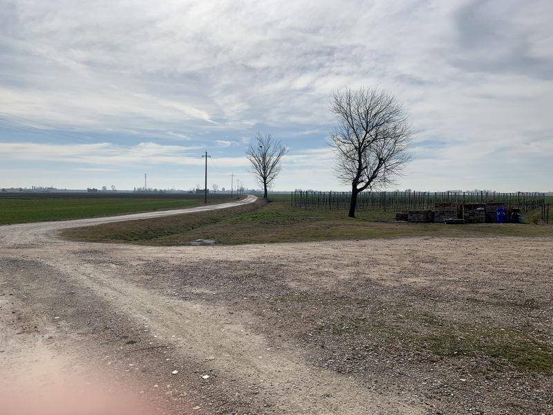 img 1105 - Casa indipendente San Felice sul Panaro - foto 1