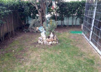 foto 03 - Two-room apartment San Prospero - photo 4