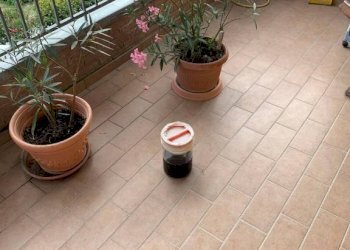 img 6008 - Two-room apartment San Prospero - photo 15