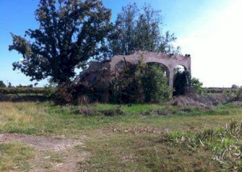 foto 05 - Rustic Soliera - photo 5