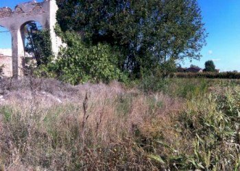 foto 08 - Rustic Soliera - photo 8