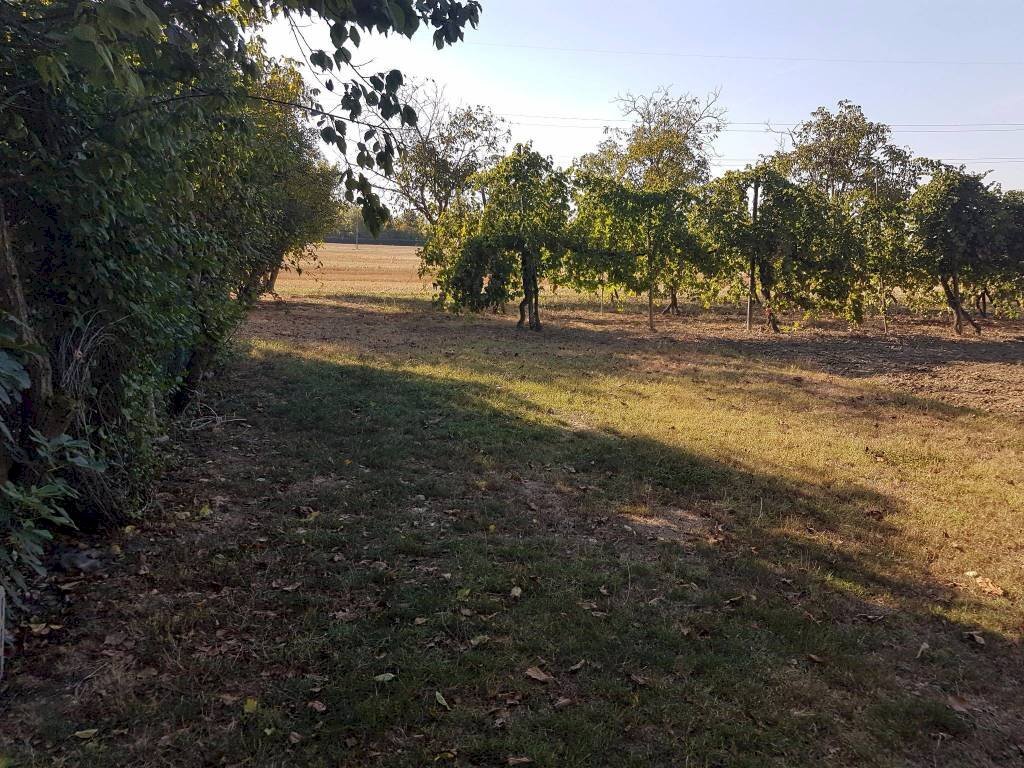 Negozio Svoto Cattania, Carpi - foto 1