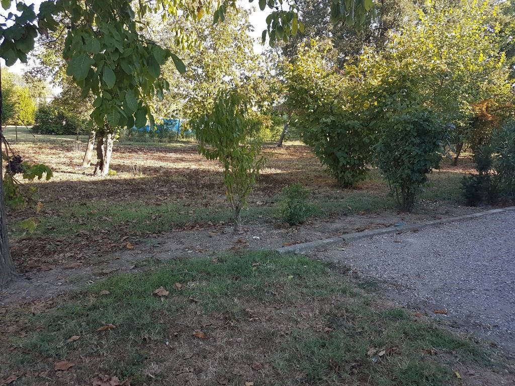 Negozio Svoto Cattania, Carpi - foto 3