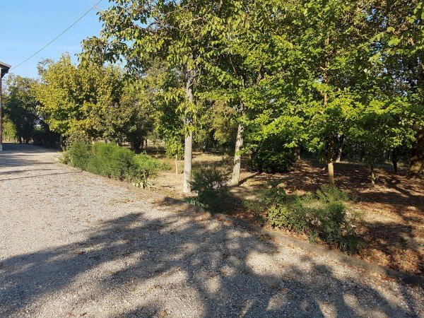 Negozio Svoto Cattania, Carpi - planimetria 1