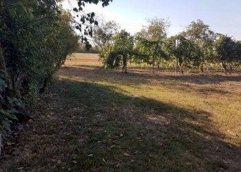 Negozio Svoto Cattania, Carpi - foto 1