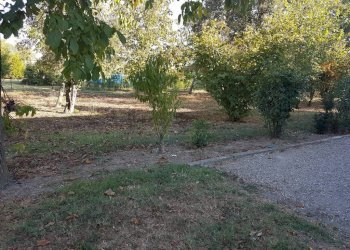 Negozio Svoto Cattania, Carpi - foto 3