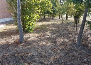 Negozio Svoto Cattania, Carpi - foto 4