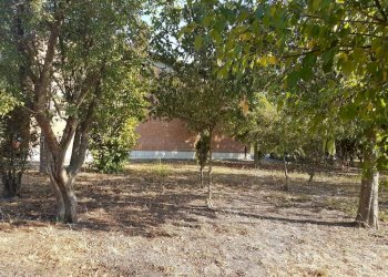 Negozio Svoto Cattania, Carpi - foto 6