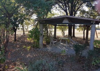 Negozio Svoto Cattania, Carpi - foto 8