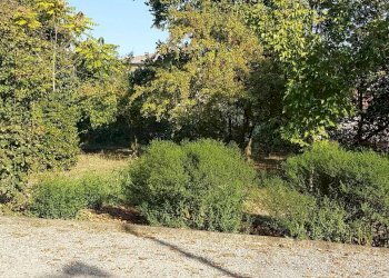 Negozio Svoto Cattania, Carpi - foto 11