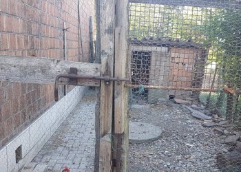 Negozio Svoto Cattania, Carpi - foto 14