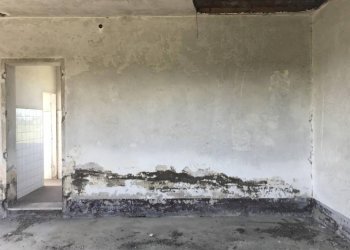 img 7697 - Rustic via DEI CADUTI, Soliera - photo 7