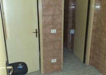 Capannone GIARDINO DELLA SAGRA, Carpi - foto 8