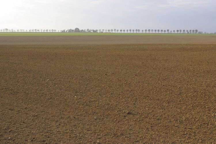 terreno - Agricultural land San Prospero - photo 1