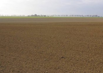 terreno - Agricultural land San Prospero - photo 1