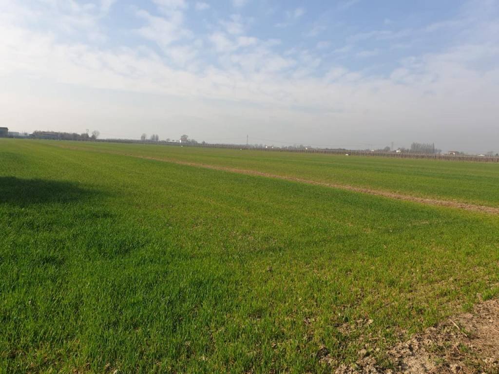 photo 2021 03 24 16 45 54 - Independent house via CARPI RAVARINO, Soliera - photo 3