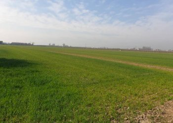 photo 2021 03 24 16 45 54 - Independent house via CARPI RAVARINO, Soliera - photo 3