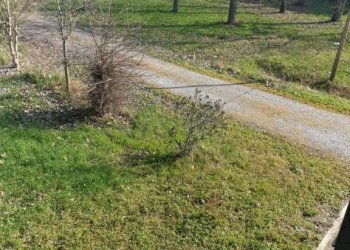 photo 2021 03 24 16 45 29 - Casa indipendente via CARPI RAVARINO, Soliera - foto 16