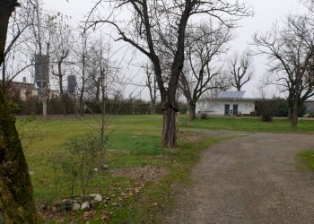 20230103 110111 - Commercial Activity MODENA NORD, Modena - photo 6