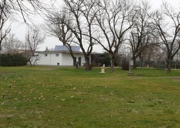 20230103 110148 - Commercial Activity MODENA NORD, Modena - photo 9