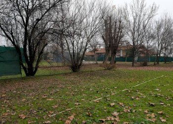 20230103 110406 - Commercial Activity MODENA NORD, Modena - photo 15