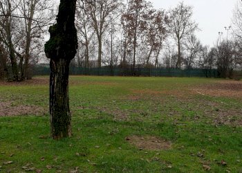 20230103 110524 - Commercial Activity MODENA NORD, Modena - photo 17