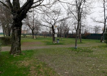 20230103 111147 - Commercial Activity MODENA NORD, Modena - photo 27