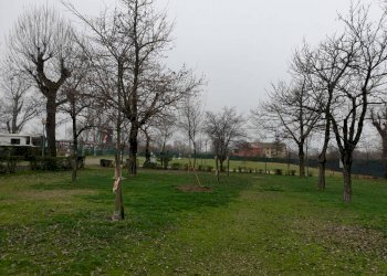 20230103 111206 - Commercial Activity MODENA NORD, Modena - photo 28