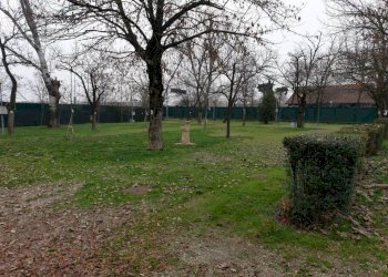 20230103 111450 - Commercial Activity MODENA NORD, Modena - photo 33