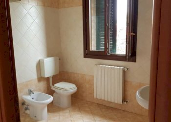 20230620 115254 - Trilocale via BASTIGLIA, Mirandola - foto 13