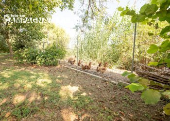 Rustic Via Parolia, Portomaggiore - photo 8