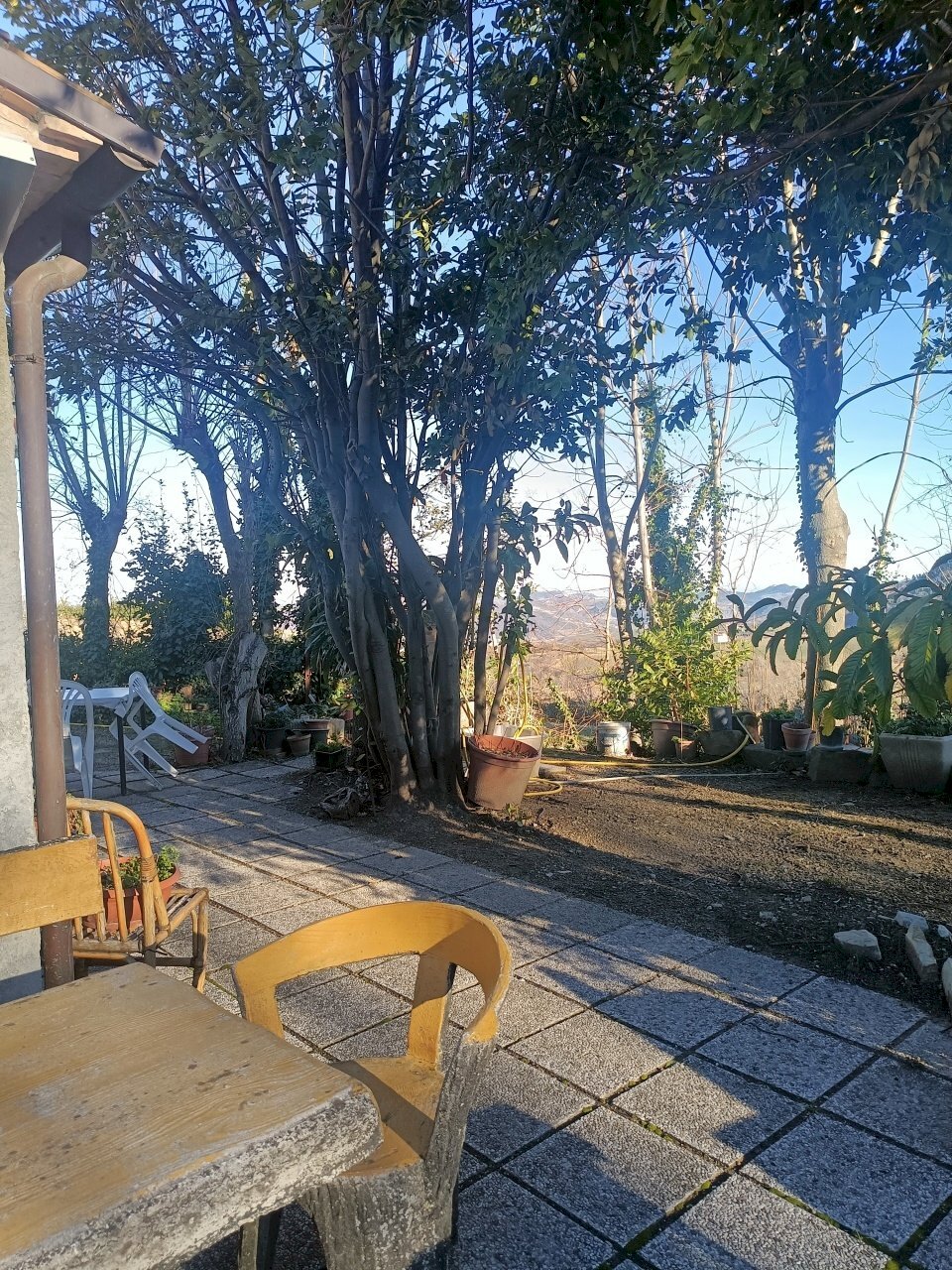 esterno.jpg - Casale Maiolo - photo 3