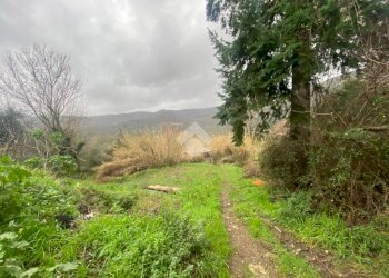 Rustico Via Dei Pini, Fosdinovo - foto 4