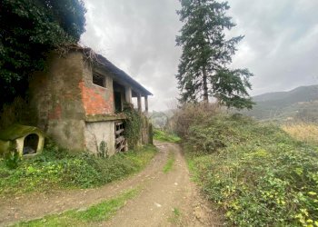 Rustico Via Dei Pini, Fosdinovo - foto 5