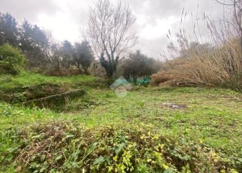 Rustico Via Dei Pini, Fosdinovo - foto 11