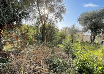 Rustico Via Santa Maria Nuova, Roccasecca - foto 26