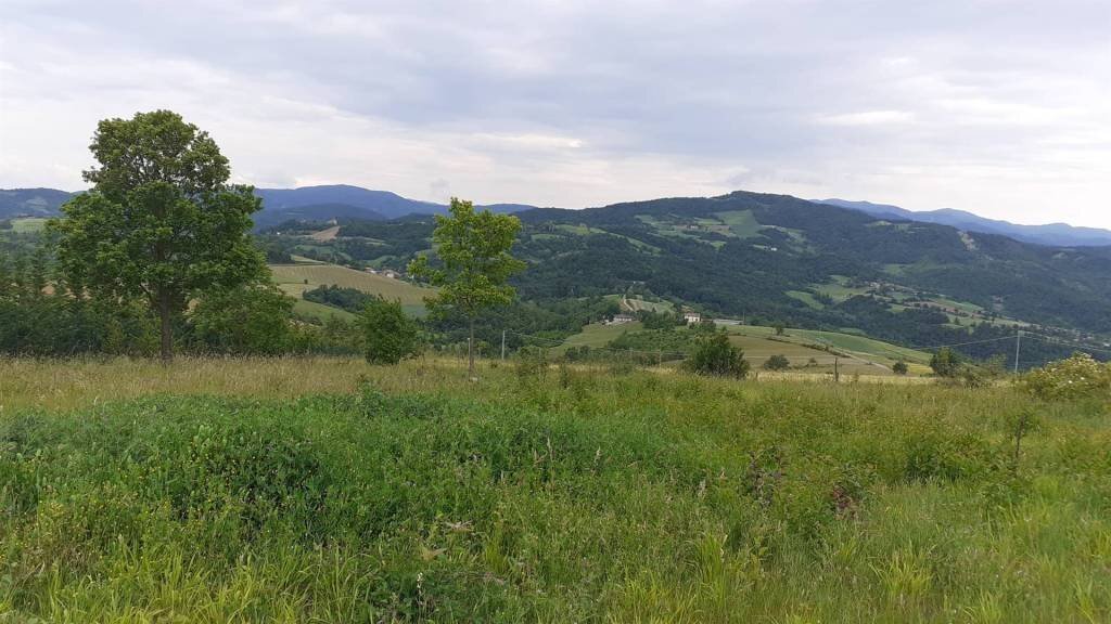 Terreno - Terreno edificabile Ponte dell'Olio - foto 2