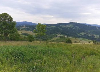 Terreno - Terreno edificabile Ponte dell'Olio - foto 2