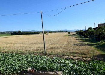 Terreno - Rustico Carpaneto Piacentino - foto 8