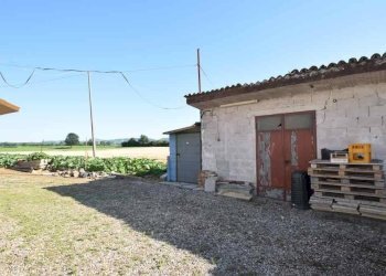 Terreno - Rustico Carpaneto Piacentino - foto 10